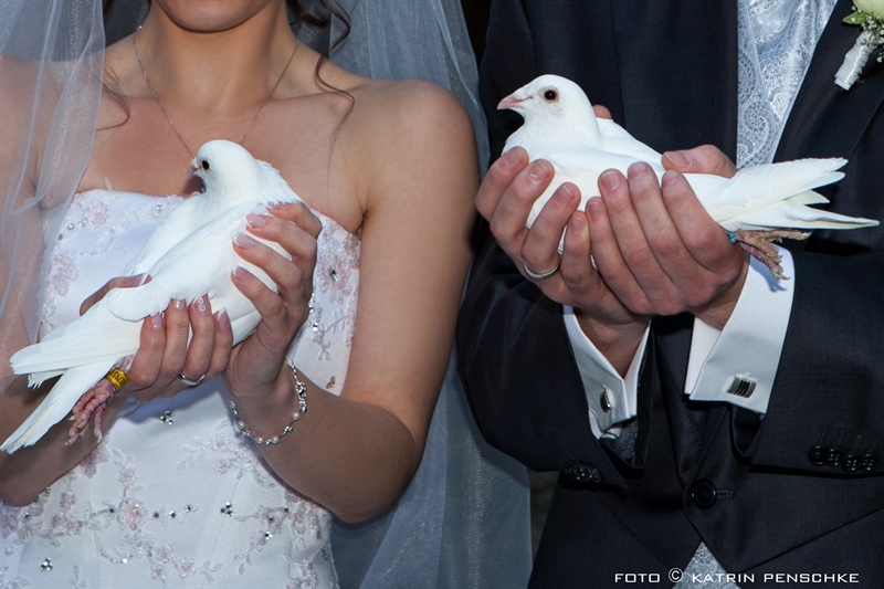 Hochzeitstauben fliegen lassen | Hochzeit in Kloster Chorin