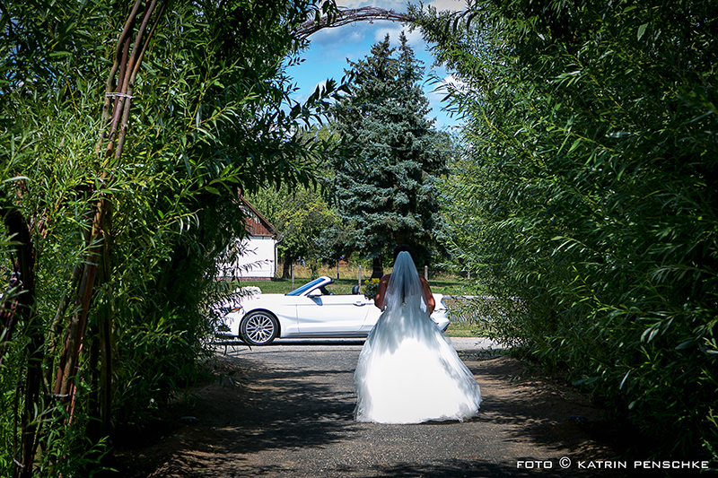 Standesamtliche Trauung | Hochzeit in der Weidenburg in Burg (Spreewald)