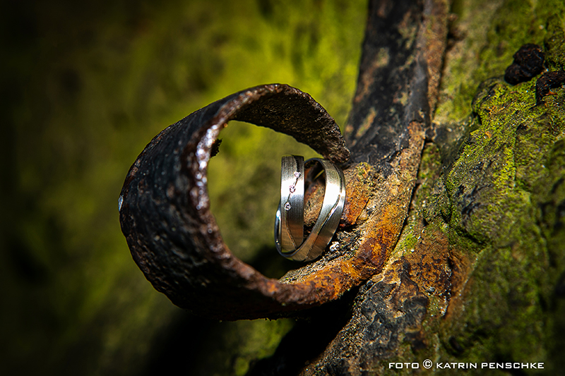 Hochzeitsfotografie im Spreewald, Cottbus und der Lausitz